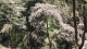 img0103.jpg