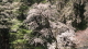 img0104.jpg