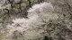 img0111.jpg