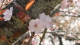 img0112.jpg