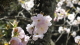 img0116.jpg