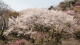 img0117.jpg