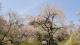 img0120.jpg