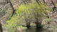 img0125.jpg