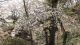 img0126.jpg