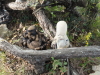 img0023.jpg