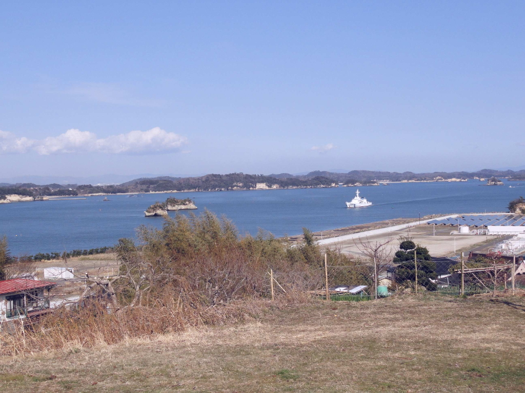 img0003.jpg