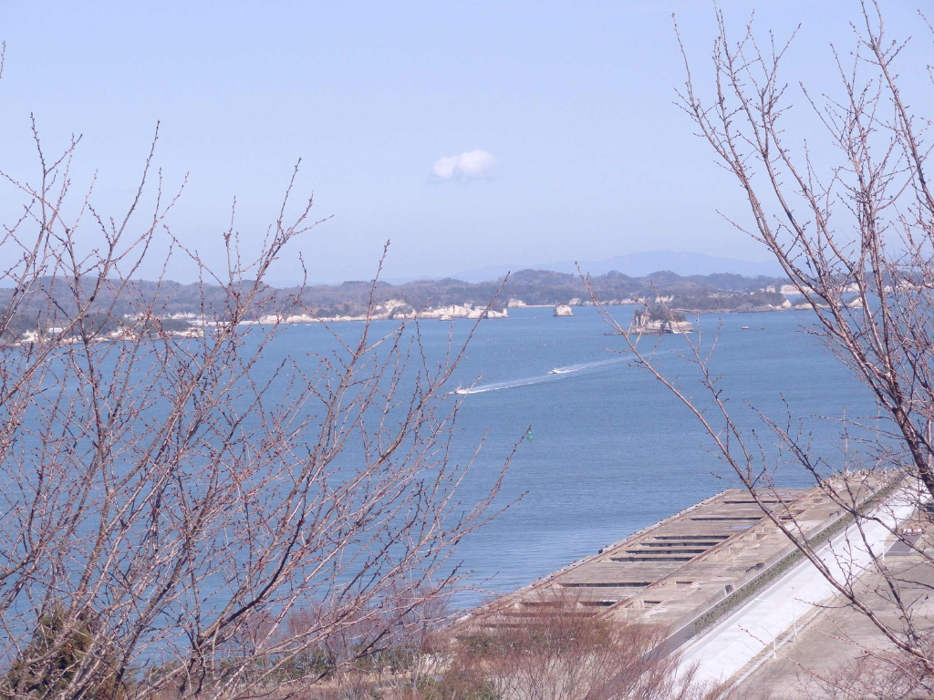 img0017.jpg