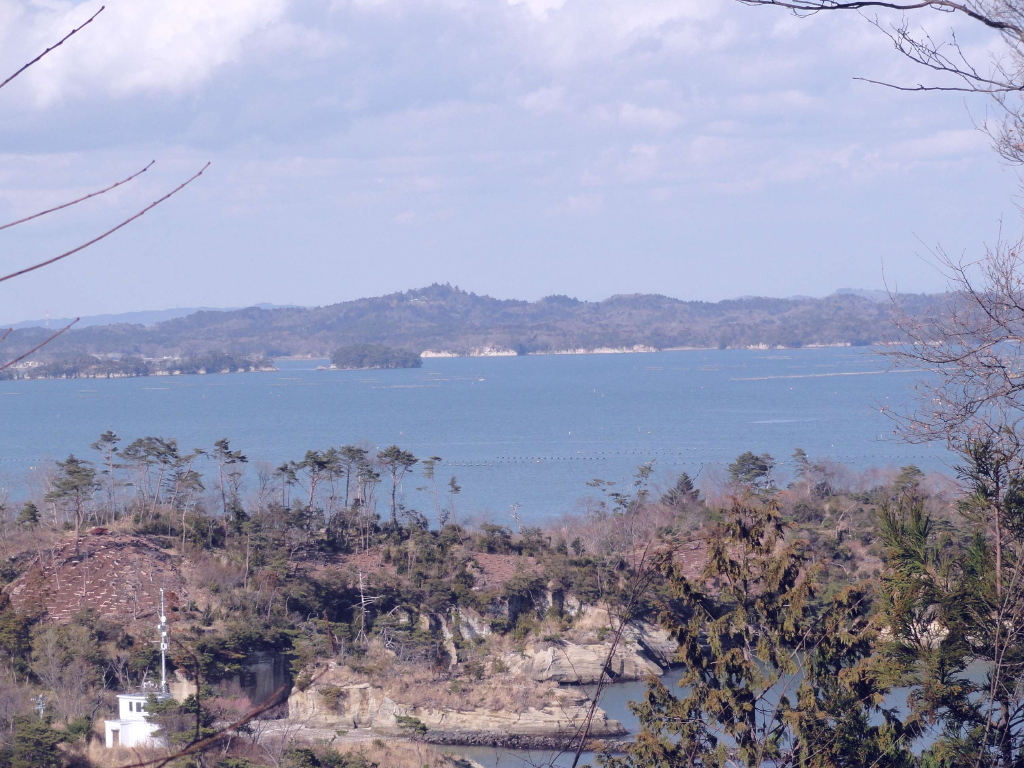 img0020.jpg