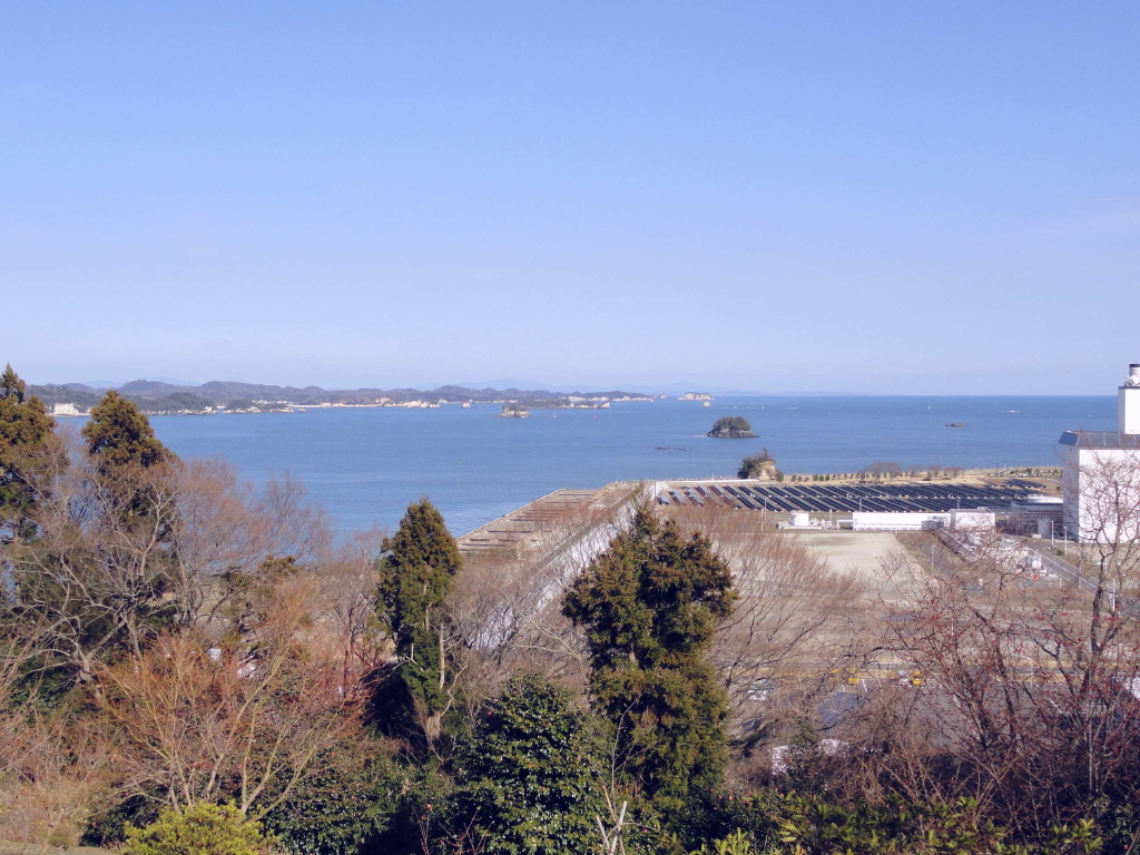 img0025.jpg
