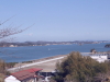 img0009.jpg
