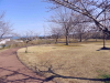 img0010.jpg