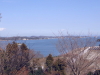 img0016.jpg