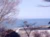 img0022.jpg