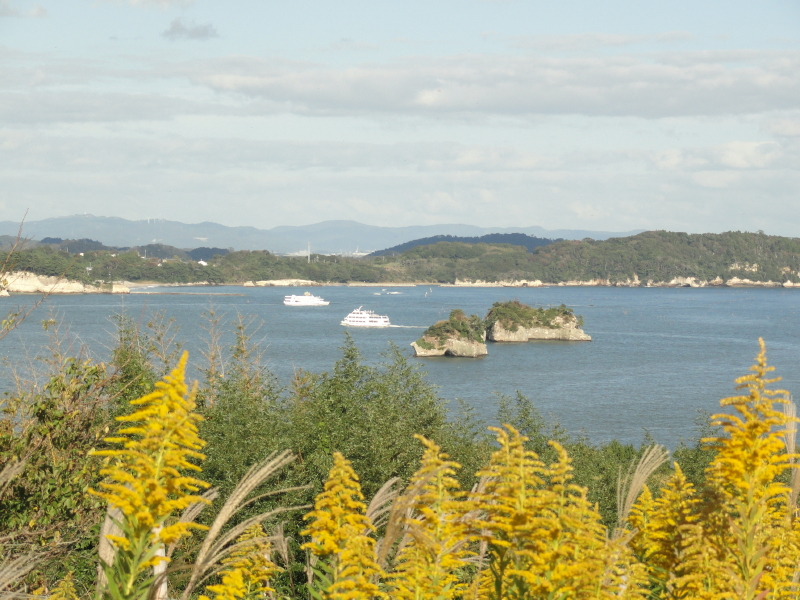 img0016.jpg