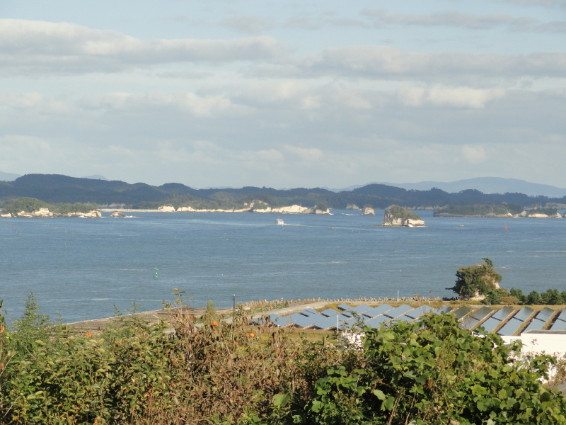 img0027.jpg