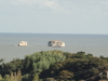 img0009.jpg