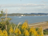 img0019.jpg