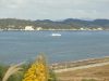 img0020.jpg