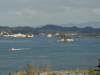 img0030.jpg