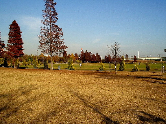 img0002.jpg