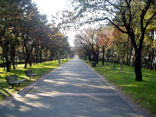 img0003.jpg