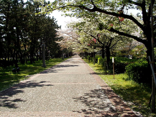 img0005.jpg