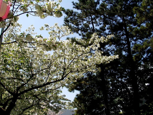 img0006.jpg