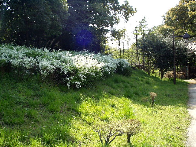 img0007.jpg