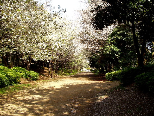 img0008.jpg