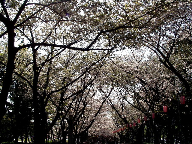 img0011.jpg