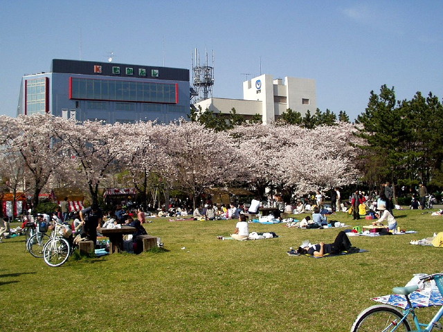 img0012.jpg
