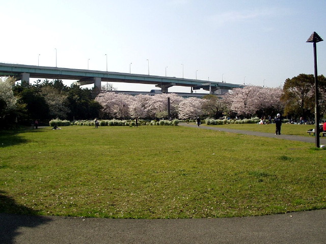 img0013.jpg