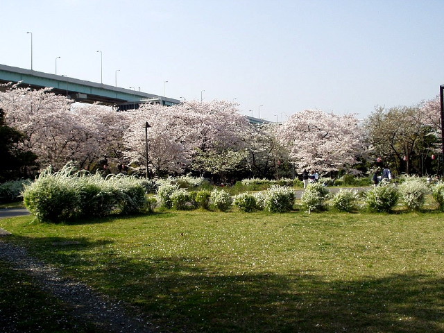 img0014.jpg