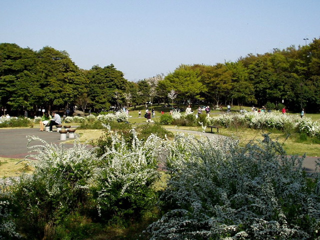 img0015.jpg