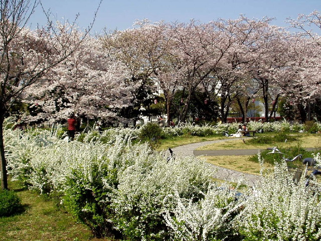 img0016.jpg