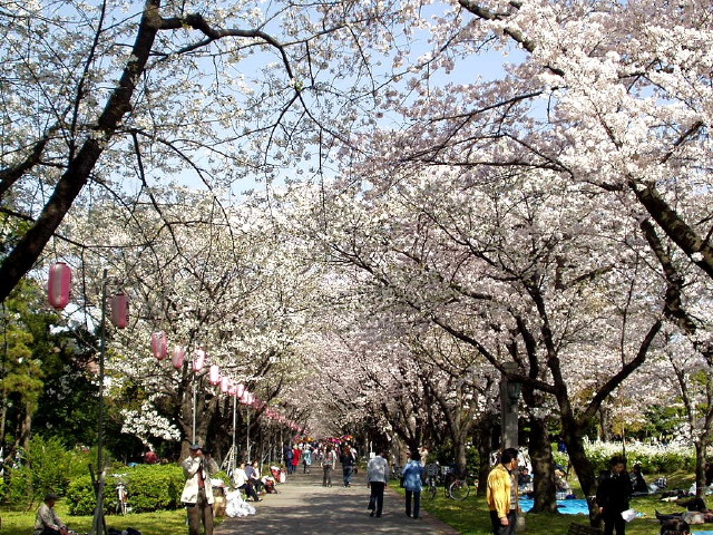 img0017.jpg