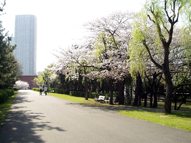 img0019.jpg