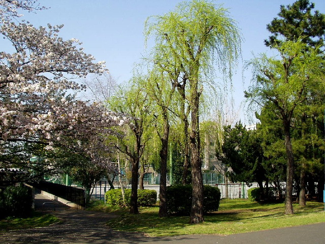 img0020.jpg