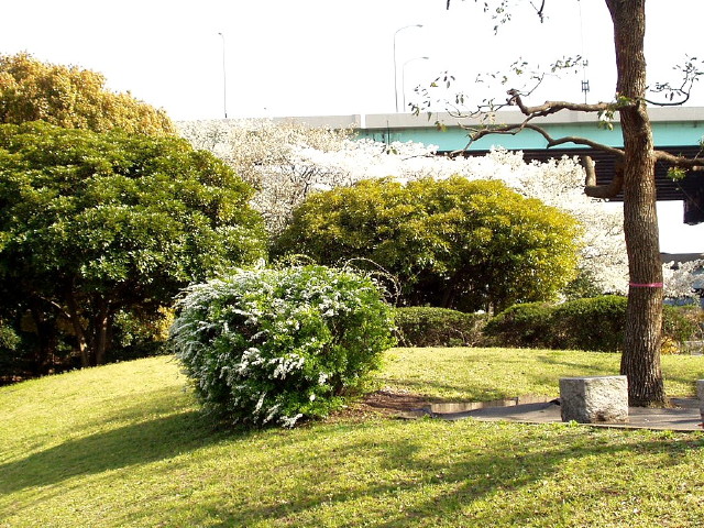 img0021.jpg