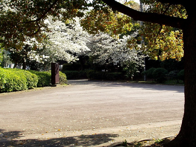 img0022.jpg