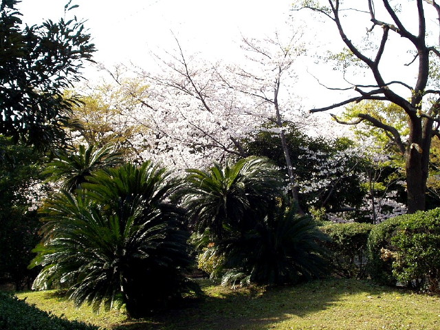 img0023.jpg