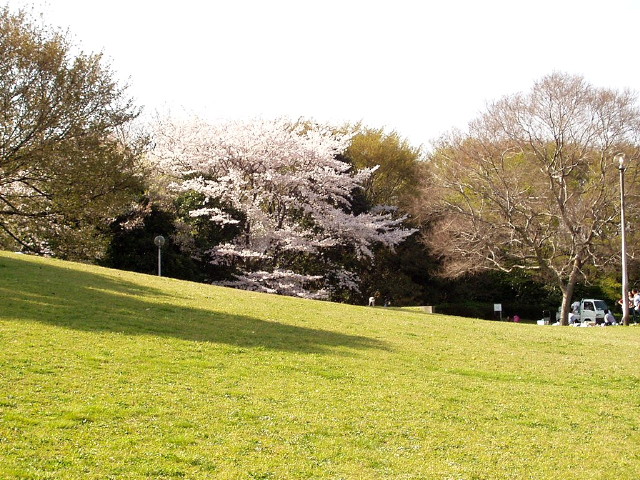 img0026.jpg