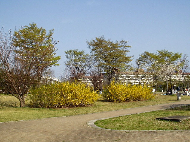 img0027.jpg