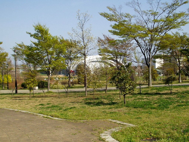 img0029.jpg