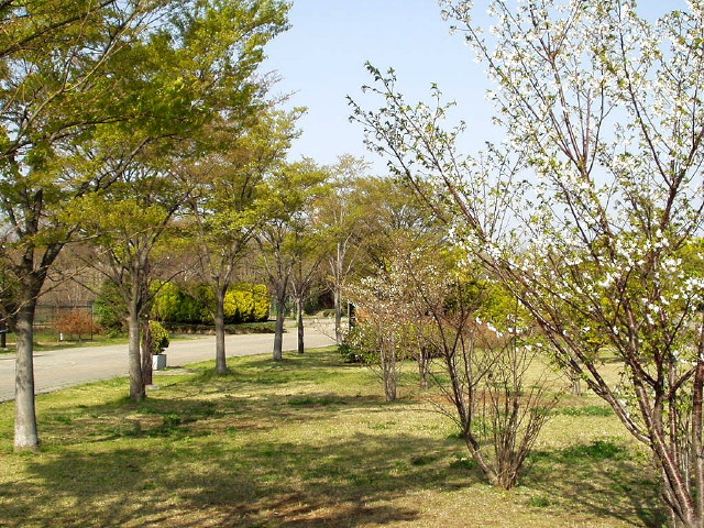 img0032.jpg