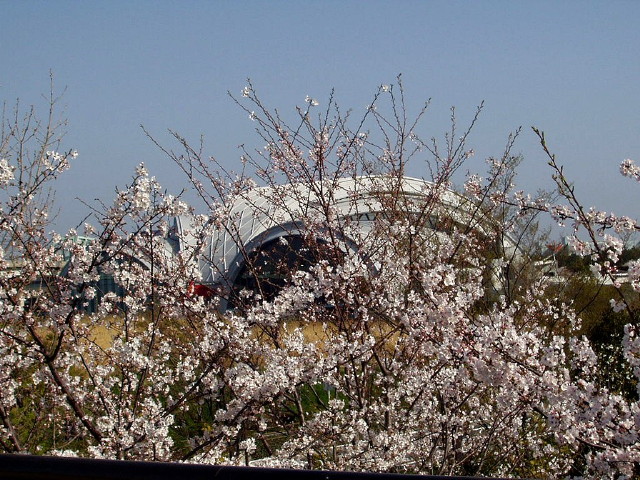 img0037.jpg
