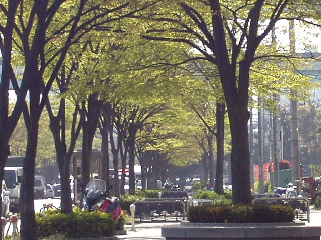 img0040.jpg