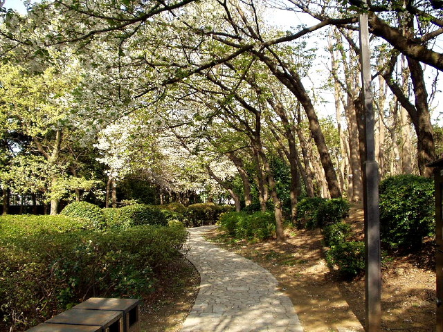 img0041.jpg
