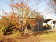 img0001.jpg